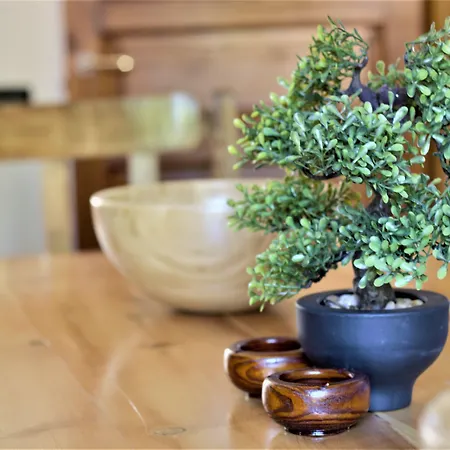 Selvarossa 3* ボローニャ