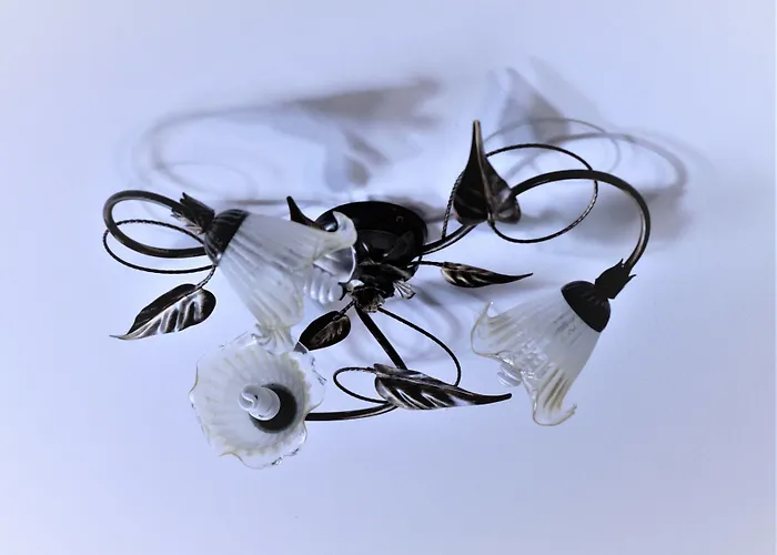 Bed and breakfast Selvarossa Bolonia