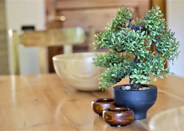 Selvarossa 3* Bolonia