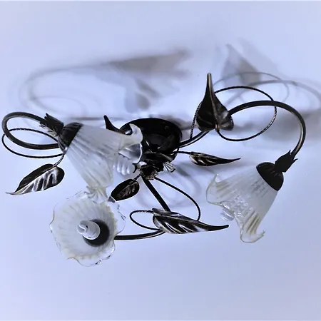 Bed & Breakfast Selvarossa